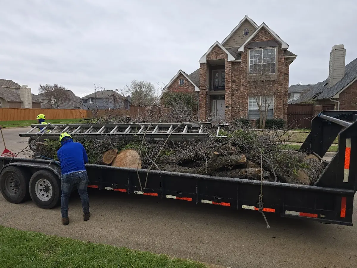 Expert Crown Reduction with proper safety equipment in Toquerville